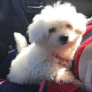 Meet your Posher, Kim